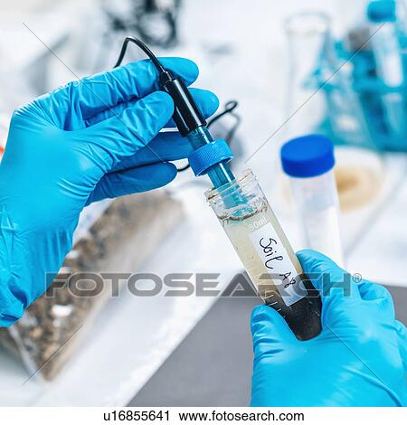 Stock Image - Close up hands of a scientist in the laboratory measuring pH of the soil sample by electronic pH meter.. Fotosearch