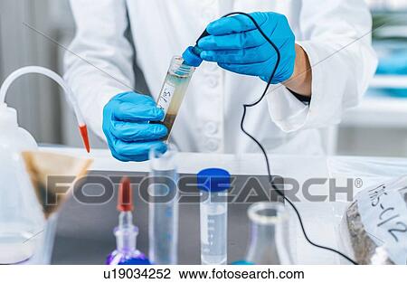 Stock Image - Close up hands of a scientist in the laboratory measuring pH of the soil sample by electronic pH meter.. Fotosearch