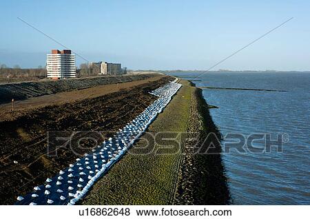 Coastal landscape with reinforced sea dyke to withstand future storms, Netherlands View Large Photo Image Stock Photo - Coastal landscape with reinforced sea dyke to withstand future storms, Netherlands. Fotosearch