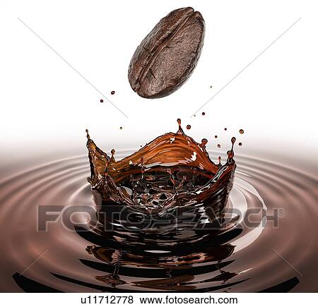 Stock Photo - Coffee bean falling splashing in a pool of coffee with crown splash. Isolated on white background.. Fotosearch