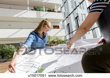 Colleagues brainstorming over charts in bright sunlight View Large Photo Image Stock Image - Colleagues brainstorming over charts in bright sunlight. Fotosearch