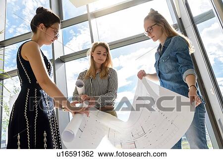 Colleagues rolling up charts after brainstorming View Large Photo Image Stock Image - Colleagues rolling up charts after brainstorming. Fotosearch