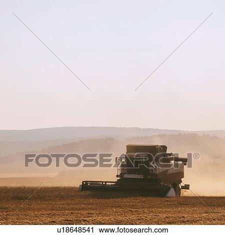 Stock Image - Combine harvester harvesting dusty wheat field. Fotosearch