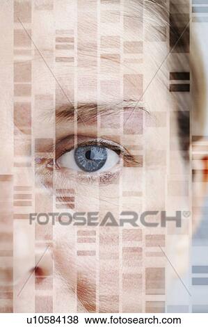 Stock Photo - Conceptual composite image of a woman's face with DNA (deoxyribonucleic acid).. Fotosearch