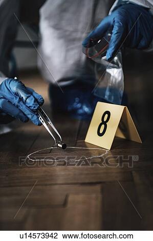 Stock Image - Crime scene investigation. Fotosearch
