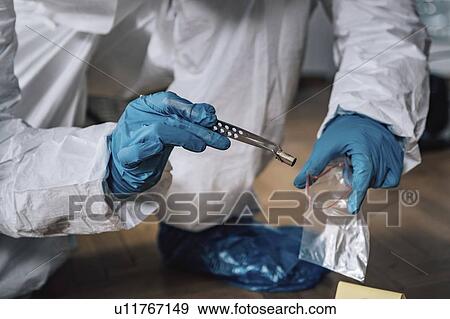 Crime scene investigation View Large Photo Image Stock Photo - Crime scene investigation. Fotosearch