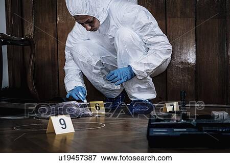 Crime scene investigation View Large Photo Image Stock Photo - Crime scene investigation. Fotosearch