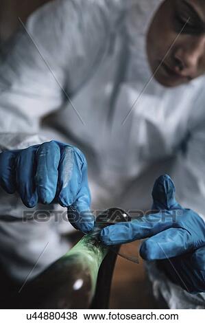 Crime scene investigation View Large Photo Image Stock Photo - Crime scene investigation. Fotosearch