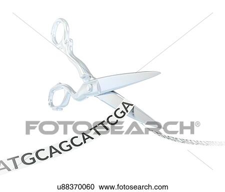 Stock Image - Crispr sequence, illustration. Fotosearch