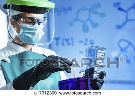 Cryopreservation of biological sample View Large Photo Image Stock Image - Cryopreservation of biological sample. Fotosearch