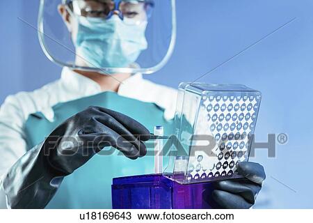 Cryopreservation of biological sample View Large Photo Image Stock Image - Cryopreservation of biological sample. Fotosearch