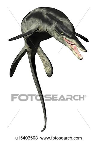 Stock Image - Cymbospondylus against a white background, illustration.. Fotosearch