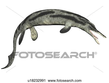 Stock Image - Cymbospondylus against a white background, illustration.. Fotosearch