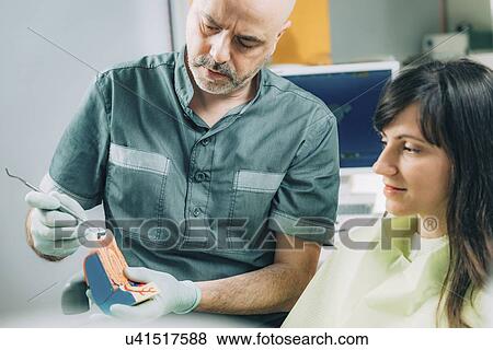 Dentist explaining tooth anatomy View Large Photo Image Stock Photo - Dentist explaining tooth anatomy. Fotosearch