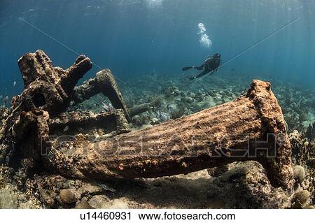 Stock Image - Diver exploring reef life and old wrecks, Alacranes, Campeche, Mexico. Fotosearch