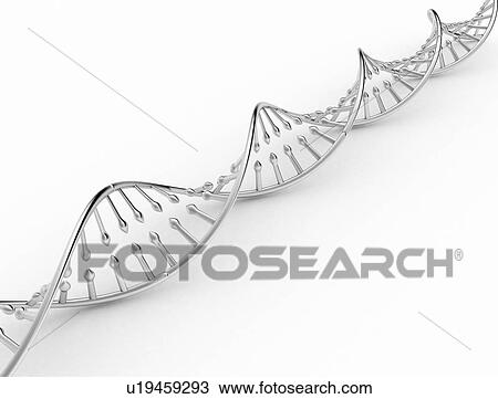 DNA model, illustration View Large Photo Image Stock Image - DNA model, illustration. Fotosearch