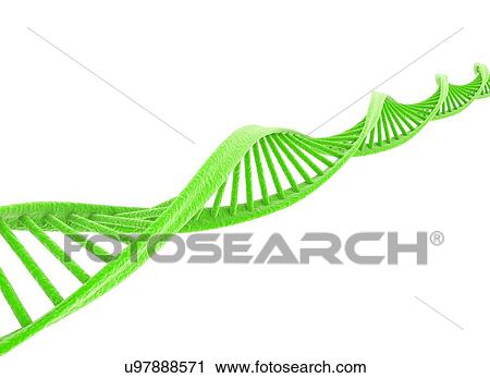 Stock Image - DNA model, illustration. Fotosearch
