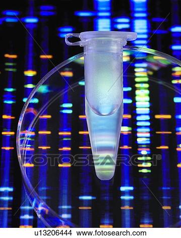Picture - DNA Profile. Fotosearch