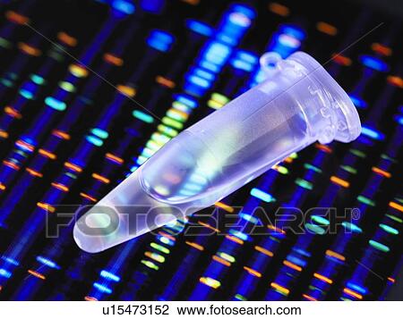 DNA Profile View Large Photo Image Stock Image - DNA Profile. Fotosearch