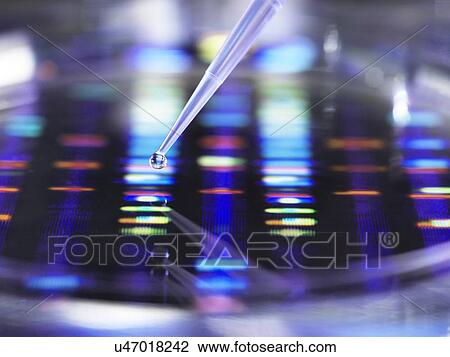 Stock Image - DNA Research. Fotosearch