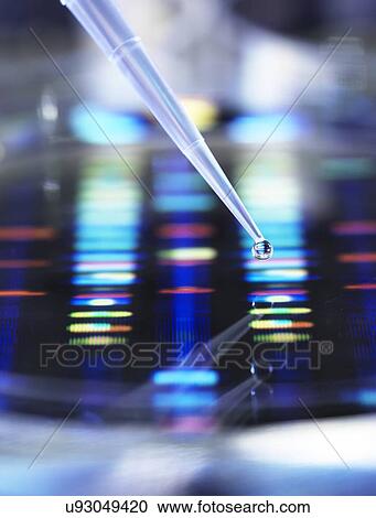 DNA Research View Large Photo Image Stock Image - DNA Research. Fotosearch