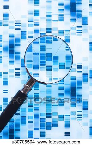 DNA sequence and magnifying glass. View Large Photo Image Picture - DNA sequence and magnifying glass.. Fotosearch