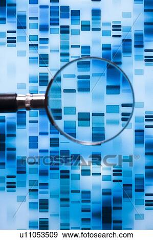 Stock Photo - DNA sequence and magnifying glass.. Fotosearch