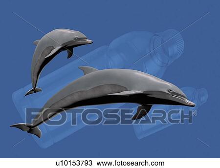 Stock Image - Dolphins and plastic waste underwater, illustration.. Fotosearch