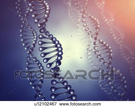 Stock Photo - Double helix DNA molecules, illustration.. Fotosearch