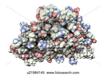 Erythropoietin hormone molecule, illustration View Large Photo Image Stock Photography - Erythropoietin hormone molecule, illustration. Fotosearch
