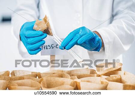 Stock Image - Examination of soil samples in a laboratory. Fotosearch