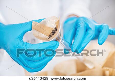 Stock Photo - Examination of soil samples in a laboratory. Fotosearch
