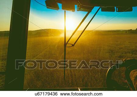 Farmer behind wheels of vehicle on farm at sunrise View Large Photo Image Stock Photograph - Farmer behind wheels of vehicle on farm at sunrise. Fotosearch