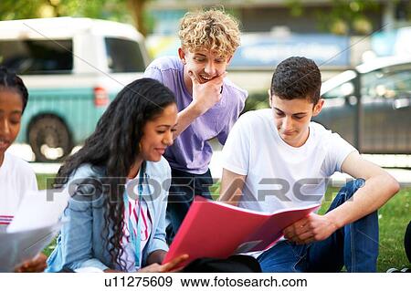 Stock Photo - Female and male higher education students reading paperwork on college campus lawn. Fotosearch