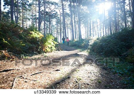 Stock Photo - Female and male runners running in sunlit forest, distant view. Fotosearch