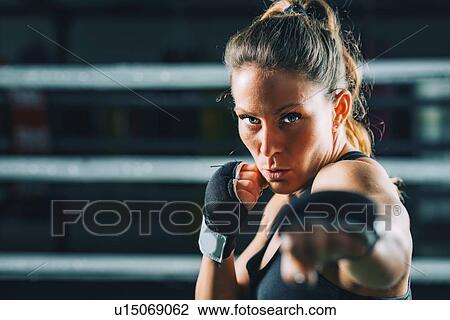 Female boxer View Large Photo Image Stock Image - Female boxer. Fotosearch