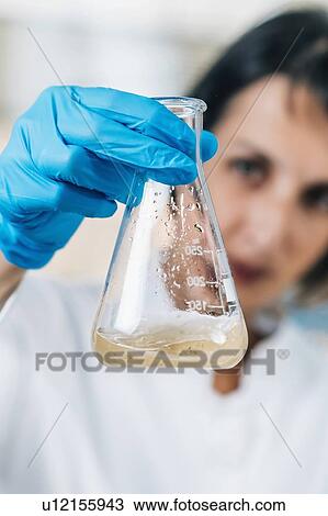 Female scientist in laboratory looking at glass flasks with dissolved samples of the soil. Agrochemical examination of soil. View Large Photo Image Stock Image - Female scientist in laboratory looking at glass flasks with dissolved samples of the soil. Agrochemical examination of soil.. Fotosearch