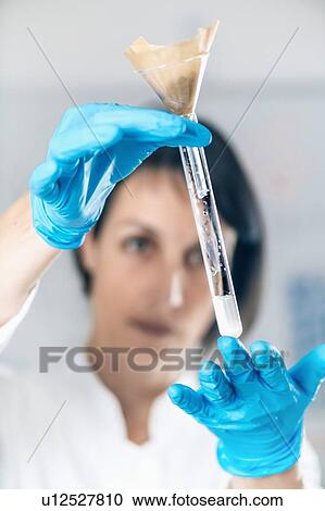 Stock Image - Female scientist in laboratory looking at glass flasks with dissolved samples of the soil. Agrochemical examination of soil.. Fotosearch