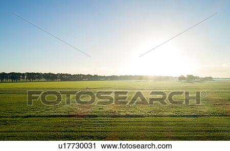 Stock Image - Field landscape at sunrise, elevated view. Fotosearch