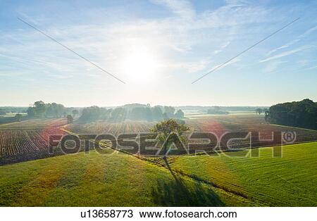 Stock Image - Field landscape in autumn sunlight, elevated view, Netherlands. Fotosearch