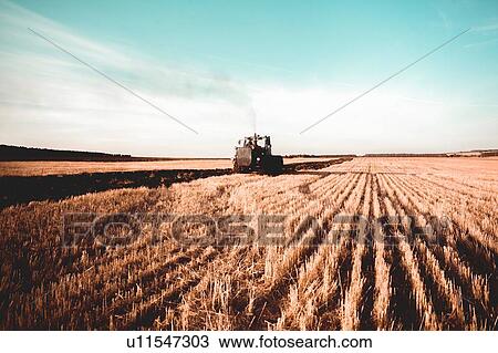 Stock Image - Field landscape of harvested wheat field being ploughed by tractor. Fotosearch