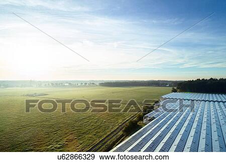 Stock Photo - Field landscape with plant nursery greenhouse roof at sunrise, elevated view, Netherlands. Fotosearch