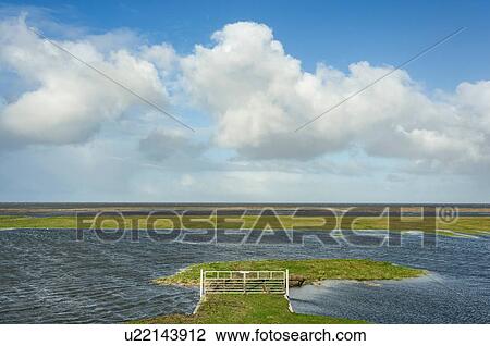 Field landscape with standing water due to high tide and strong winds, polders beyond sea dyke have flooded, Netherlands View Large Photo Image Stock Image - Field landscape with standing water due to high tide and strong winds, polders beyond sea dyke have flooded, Netherlands. Fotosearch