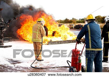 Firemen training, team of firemen spraying firefighting foam on fire at training facility, rear view View Large Photo Image Stock Photo - Firemen training, team of firemen spraying firefighting foam on fire at training facility, rear view. Fotosearch