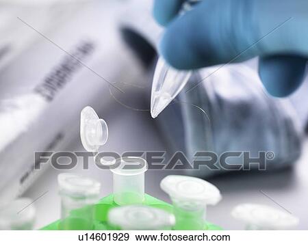 Stock Photo - Forensic Investigation. Fotosearch