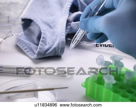 Stock Photograph - Forensic Investigation. Fotosearch