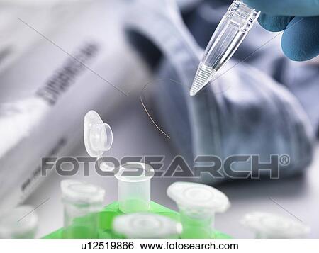 Stock Photograph - Forensic Investigation. Fotosearch