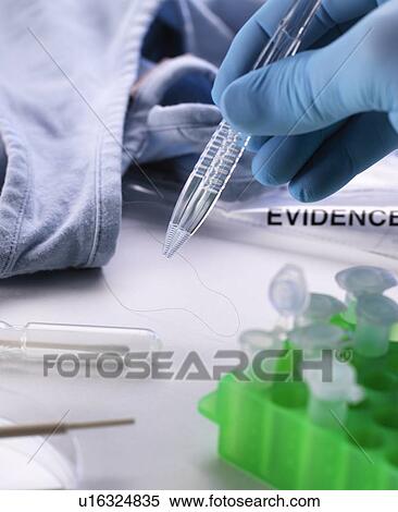 Stock Photography - Forensic Investigation. Fotosearch