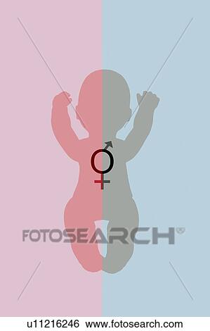 Stock Photograph - Gender neutral child, conceptual illustration. Fotosearch