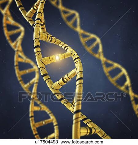Genetic engineering, conceptual illustration View Large Photo Image Stock Image - Genetic engineering, conceptual illustration. Fotosearch